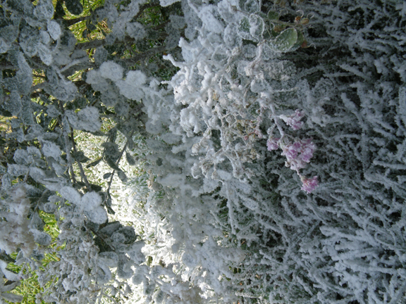 fake snow sprayed snow