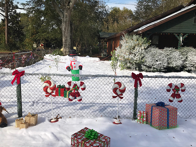 snow decor snow on the ground and flocking services