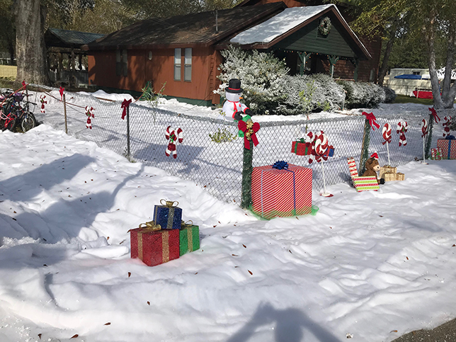 snow decor snow on the ground and flocking services