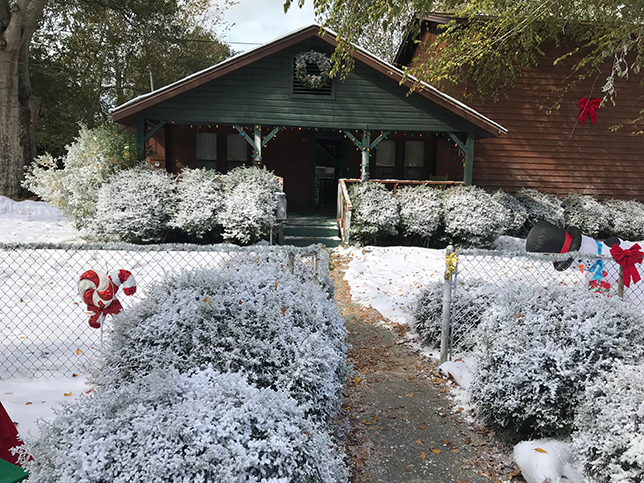 snow decor snow on the ground and flocking services