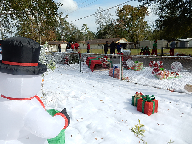 snow decor snow on the ground and flocking services