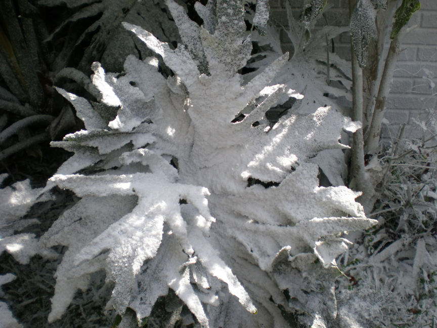 fake ground snow