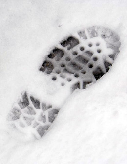 snow effects snowcel faux snow FX